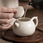 「文旦壶 · Pomelo Bloom」 — 170ml Japanese-Style Ceramic Teapot (Built-in Strainer · Plant-Inspired Form · Decorative Gongfu Infuser Pot) - Image 2